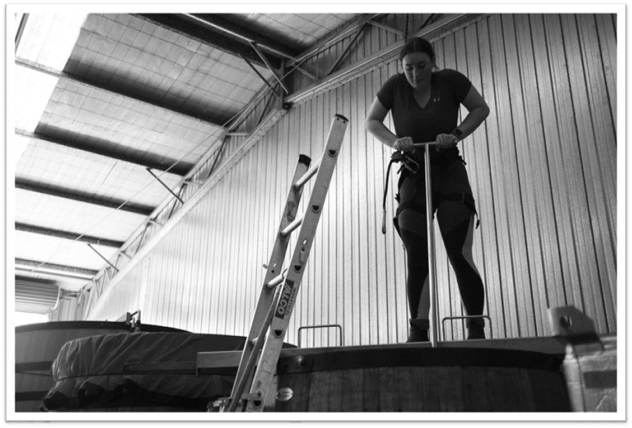 Hand Plunging Pinot Noir 