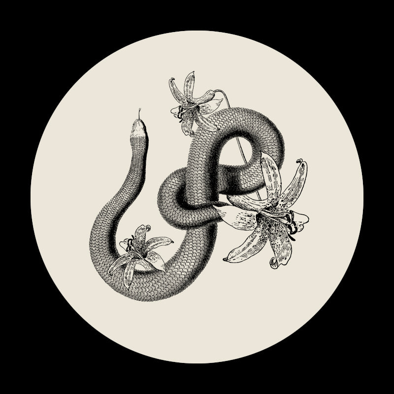 The Snake & Lily Selection
